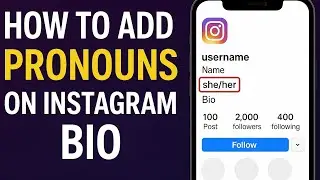 How To Add Pronouns On Your Instagram Bio