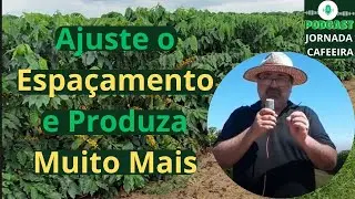 Espaçamento Inteligente: Maximizando a Produtividade de Arara, Catucaí e Asa Branca