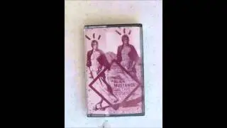 Alien Mustangs - The Tape Sessions Vol.  I