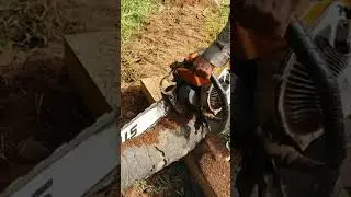 STIHL Chainsaw #chainsaw #stihl #wood #shorts #3338