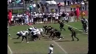 Cats Running Wild: JaMar Williams (Sr. year)