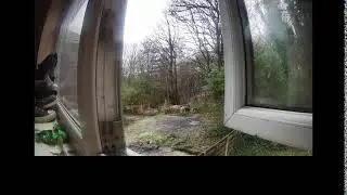 Sleep amience Live Stream uk storm watch SNOW