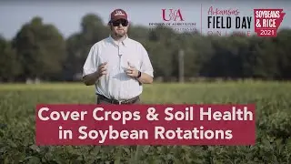 Cover Crops & Soil Health in Soybean Rotations (2021 Ark. Field Day)