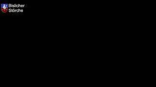 Livestream von Bislich Storch