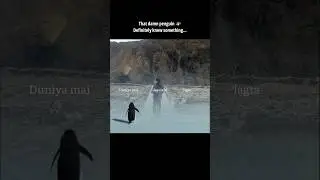 That damn penguin🐧🤍 #shortvideo #explore #penguin