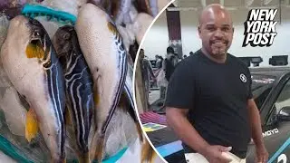 Video: Man dies after eating deadly pufferfish