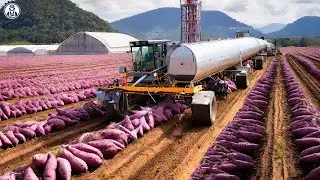 Satisfying Videos Food Processing Machines That At Another Level ▶130