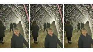 Visit to Auckland palace and Aglow Christmas lights