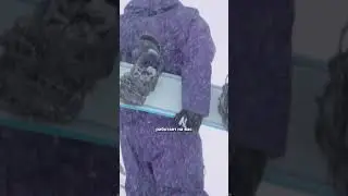 СНОУБОРД FOREST 2026 | СНОУБОРД JOINT SNOWBOARDS | ТЕСТ | ОБЗОР