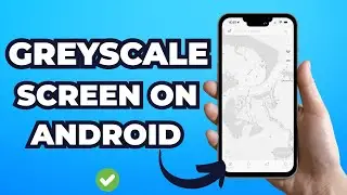 How to Turn on Greyscale Screen on Android (Easy)