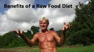Benefits of a Raw Food Diet