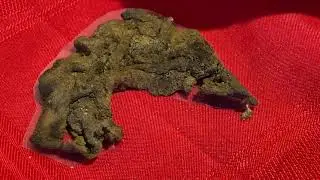Artifact of the Week 20210122 - Philmont Wildfire Finds -