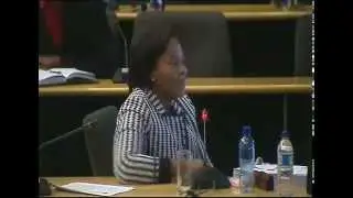 Marikana Commission of Inquiry, 26 August 2014: Session 4