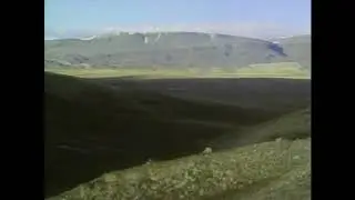 The most evocative sound in nature