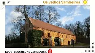 Os velhos Sambeiros in Klosterscheune Zehdenick.