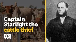 Captain Starlight the biggest cattle thief in the world | Amazing Australia | ABC Australia