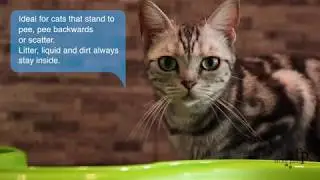 All For Paws - No Mess Cat Litter Box