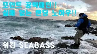 【SEABASS GAME】 tailwalk HI-TIDE SSD!! (하이타이드)