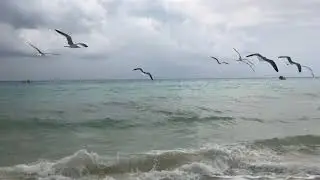 Playacar Beach in the Hotel Zone of Playa del Carmen January 2021