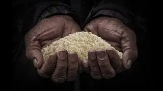 45 DAYS OF LOCKDOWN | FOOD DISTRIBUTION | CARONA PANDEMIC |TEAM COLOURFUL HANDS NELLORE.