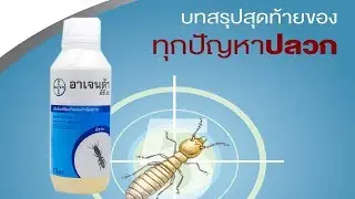 AGENDA 25 EC Chemical Termite Control