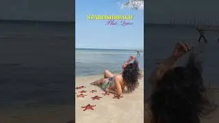 Starfish beach, Phu Quoc, Vietnam 🇻🇳 #starfishbeach #phuquoc #vietnam #youtubeshorts #shorts