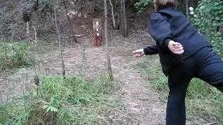 метание ножей,knife throwing
