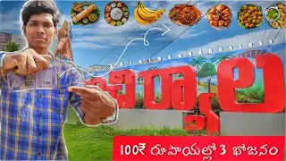 Food Vlog In Mancherial || కేవలం 100 రూపాయల్లో 1రోజు మొత్తం భోజనము || Living in 100₹ Only ||
