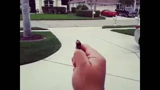 Key chain cap gun loud Af