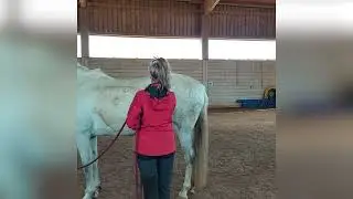 #1 HorseHack: Nie wieder Stress am Putzplatz
