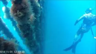french pass diving 2k16 Febuary