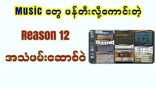 Reason 12 အသံဖမ်းဆောစ်ဝဲ Review
