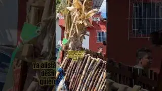 Ahora comienzan las fiestas de Cojutepeque quieren en vivo o video comenta 🤪#elsalvador #shorts