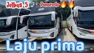 Terminal SELOAJI PONOROGO//JAM SIANG BUS PENUH TOTAL.