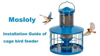 ASIN:B0CQ1TMN6J Installation Video &mdash;Mosloly Caged Bird Feeders Squirrel-Proof, Metal, 2.8 Lbs （Blue）