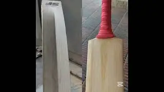 BAT CLEANING