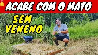✅COMO ACABAR com o MATO SEM VENENO ( NATURAL que FUNCIONA!)