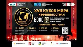 XVII THE WORLD CUP OF BOXING OIL COUNTRIES 2019 Final
