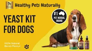 Yeast Kit for Dogs and Cats: Herbal Medicine: Healthy Pets Naturally