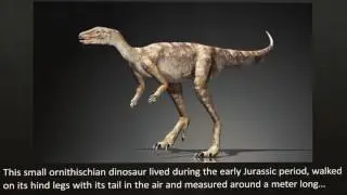 TOP 10 Amazing NEW DINOSAUR Discoveries