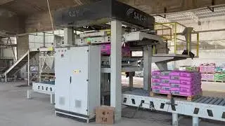 SAY-END TURBINE FILLING, BAG ATTACHMENT SYSTEM, PALLETIZER