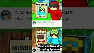 Cash and Niko stop coping Aphmau