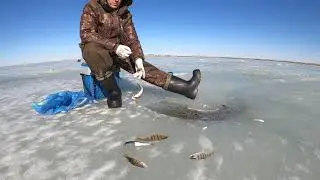 29 03 Озеро Айдыкуль \ Aidykul lake