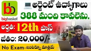 Hyderabad Bigbasket Company Jobs || 388 మంది కావలెను అర్జెంట్ గా || 12th, Degree Pass Jobs