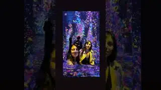 teamLab Borderless Tokyo