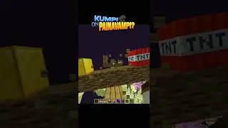 Kumpi on painavampi? (osa 11) #minecraft  #suomi