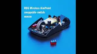 Asus ROG Keris Wireless Aim Point swappable-switch mice | How to swap switches