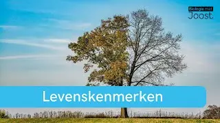 Levenskenmerken | Levend - dood - levenloos | Samenvatting