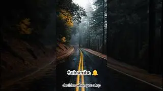 ⭐ EPISODE 48: The Road That Forces Cars to Stop #shorts