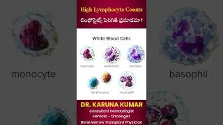 High Lymphocyte Counts | లింఫోసైట్స్ పెరిగితే ప్రమాదమా#whitebloodcells #lymphocytes #lymphocytosis